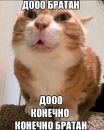 gvVKQ6UyBgoXs1eJydLcFI8_aZ2QOgYQuTavhSPNvBDjLbTFiQIDNd2xBKr2mqwqUR2Z_xKzv6GG0tYzeXFzsoYB.jpg