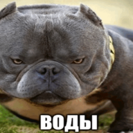 piuaz
