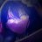 __TROF__